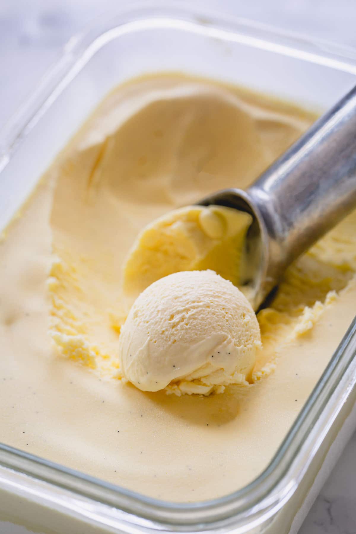 Madagascar Vanilla